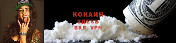 гашик Верея