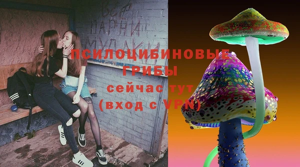 гашик Верея