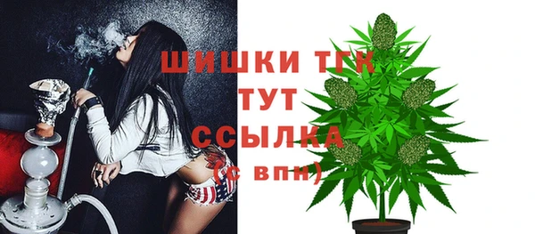 спиды Волосово